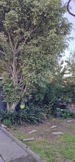 Clay Stone Cottage - 1