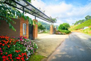 Shanti Wellness Sanctuary - Lạc Dương - 8