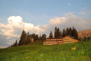 Berghotel Sellamatt - Alt Sankt Johann - 8