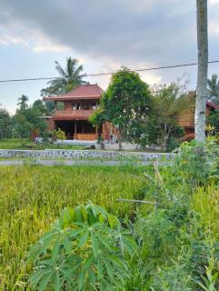 Nataqueen Bungalows - Tetebatu - 8