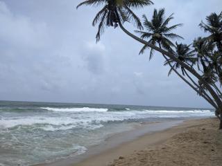 White Whale Villa Ambalangoda - Ambalangoda - 3