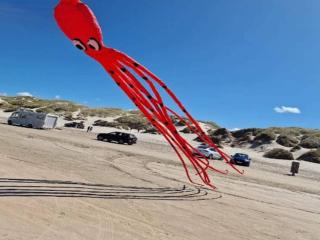 6 person holiday home in Blokhus - 1