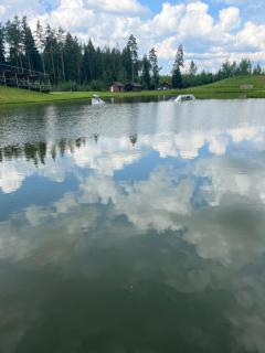 Metsjärve villa - Puskaru - 5