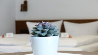 Hotel Rosenbusch - Großheubach - 9