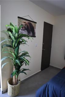 Departamento en residencial privada - 9