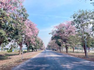 Saenpalm training home แสนปาล์ม เทรนนิ่ง โฮม - 7