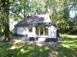 Holiday Home in Haaksbergen by Lake - 7