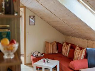 Apartment near Rennsteig - 1