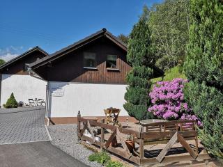 Apartment near Rennsteig - 2