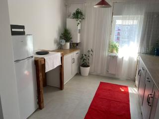 Quite and relaxing 3 bedroom - Botoşani - 1