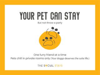 The Social Stays Bir formerly ArtBuzz - Bīr - 6