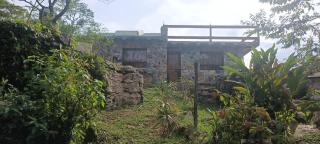 Nasaka jacala - Cuetzalán del Progreso - 3