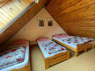 Family Farmhouse with go-karts - Uden - 2