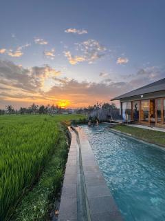 Rajastra villa - Ubud - 0