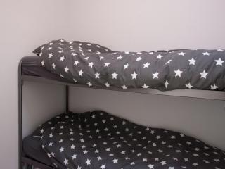 Charming Apartment in Langweer with Jetty - 1