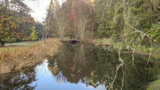 Little Plum Cottage - 4