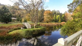 Little Plum Cottage - 2