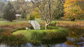Little Plum Cottage - 1