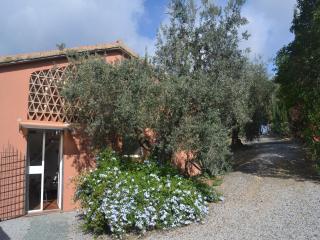 Charming Tuscan Home Wi-Fi - 9