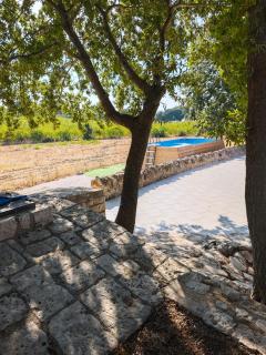 Il Trullo nel bosco - Alberobello - 3