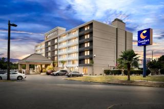 Comfort Inn University - 4