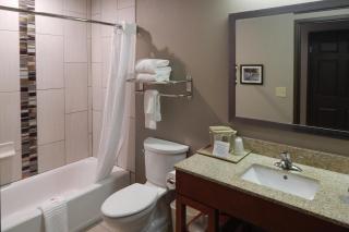 Comfort Inn & Suites Las Cruces Mesilla - 1