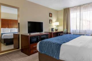 Comfort Inn Albuquerque Airport - 5