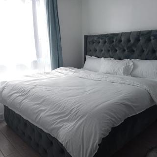 classy executive two bedroom apartment with fully equipped gym ample parking space heated swimming pool children playing ground and amazing scenic views - 8