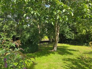 Gartenidyll am Teich - Seehof - 9