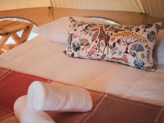 The Leadwood Safari Camp - 3