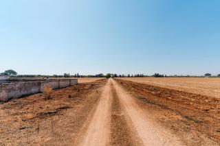 Masseria Delle Api - Scorrano - 3