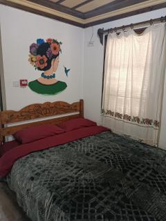 Şirince Larin Pansiyon - Selçuk - 6