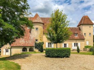 Castle in Le Veurdre near Forest and River - 3