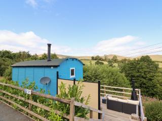 Cuckoo at Wild Valley Huts - Oswestry - 0
