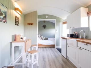 Cuckoo at Wild Valley Huts - Oswestry - 5