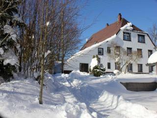 Wohnung in Lauterbach nahe Skipisten - 2