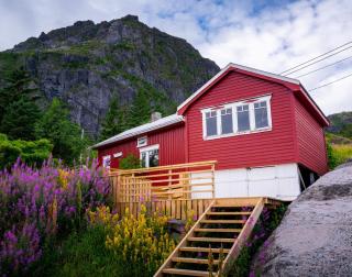 Moskenes Vacation Homes - Moskenes - 5