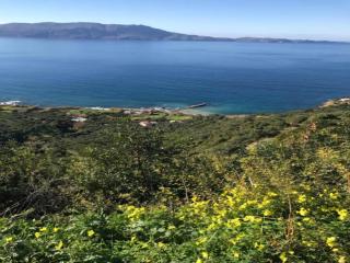 Seaview Studio in beautiful setting, west from Chania - Ravdhoúkha - 5