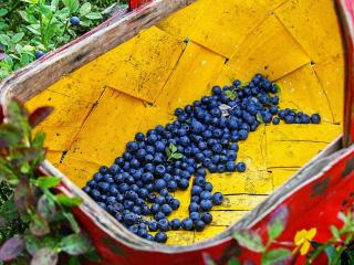 4 person holiday home in TORSBY-By Traum - Mårbacken - 3