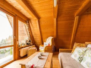 Tranquil Holiday Home in Suhl near the centre - Suhl - 6