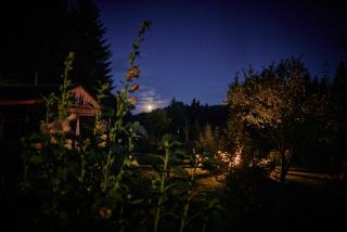 Blickinsfreie - 6
