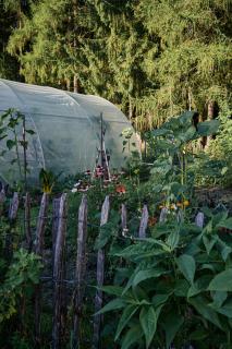 Blickinsfreie - Cabin - 6