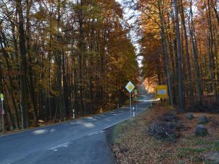 Pleasant Holiday Home in Kemmenau with Sauna - 1
