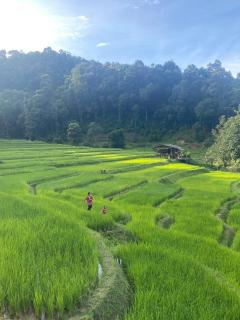Chibacall ชิบะคอล Chiang Mai hideaway Homestay - Chiang Mai - 9