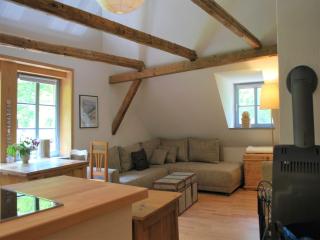 Chic Apartment in Thuringia with Sauna - Hamma - 2