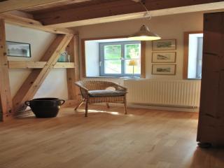 Chic Apartment in Thuringia with Sauna - Hamma - 7
