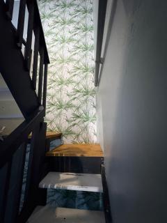 TLP Haven - 3
