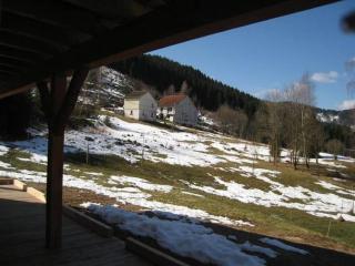 Chalet in Ventron near La Bresse Ski Area - 4