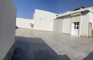 Modern chic rooftop studio - Sheikh Zayed - 4