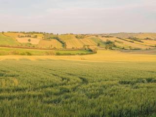 Inviting Holiday Home in San Costanzo with Swimming Pool - 1